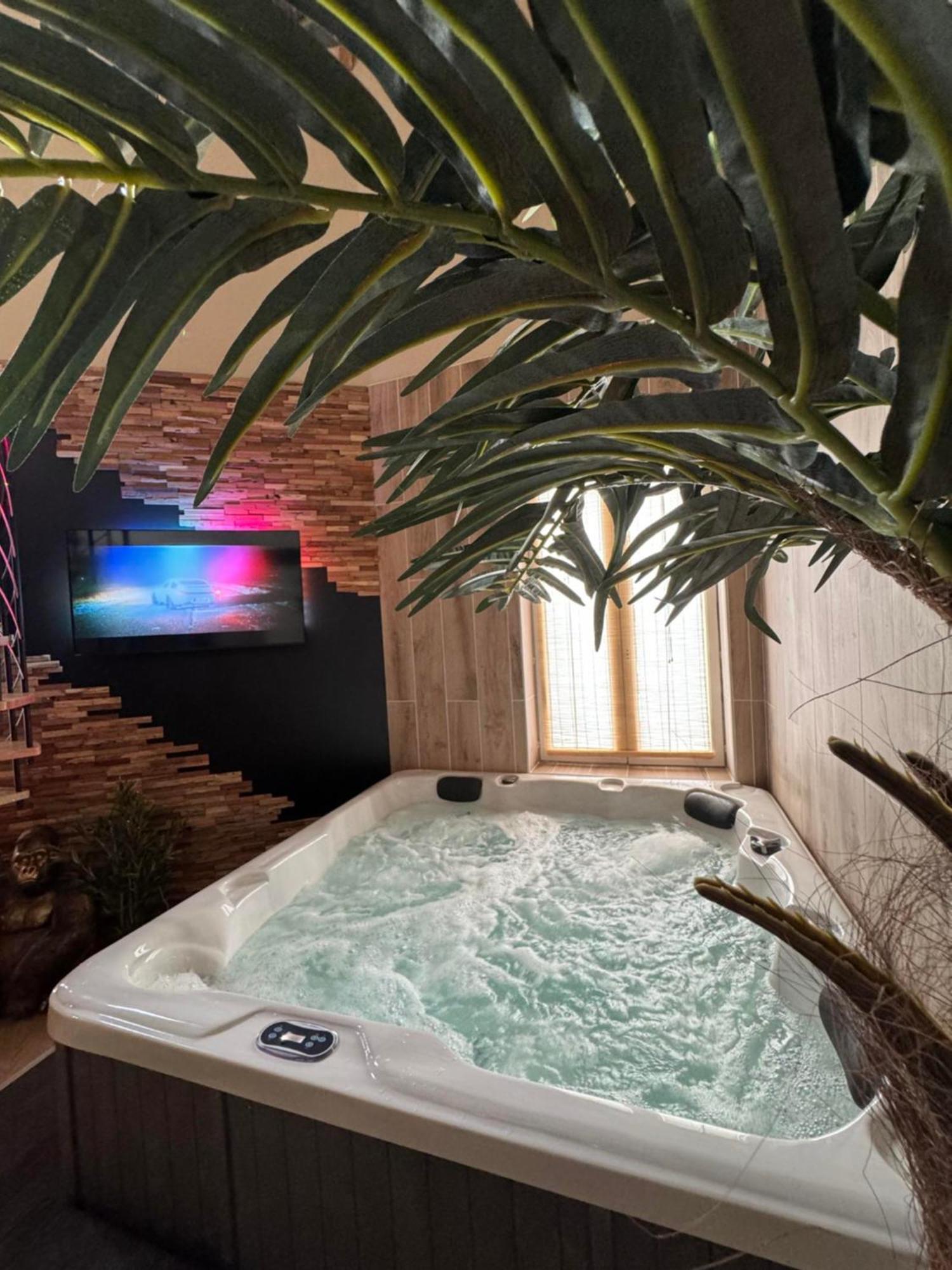 Safari Apartment