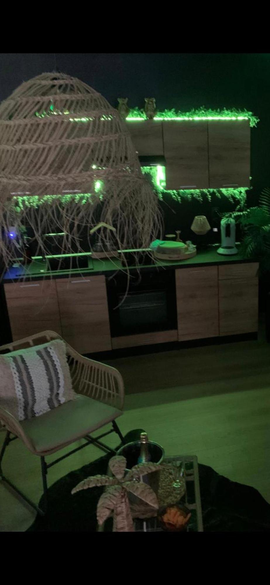 Safari Apartment